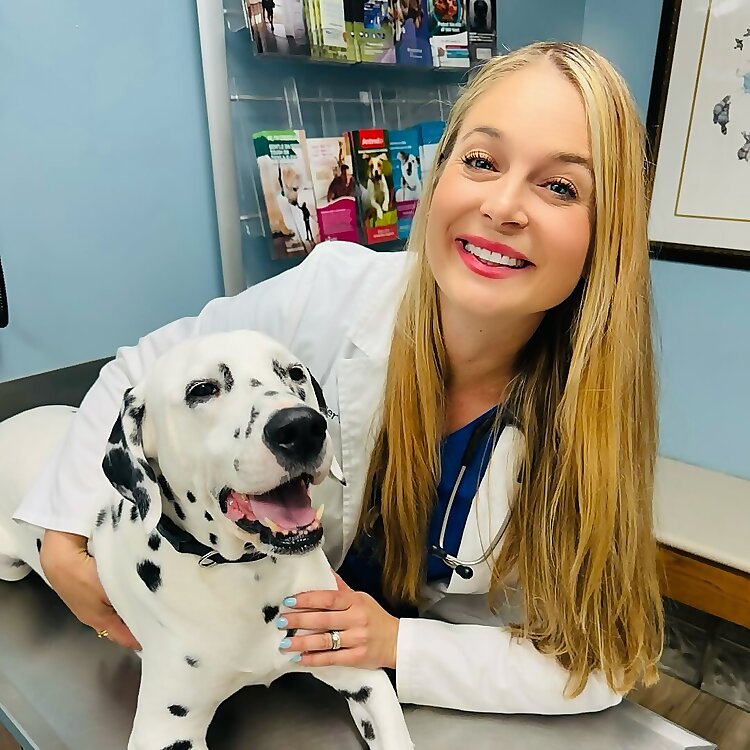 Dr. Lindsay Butzer