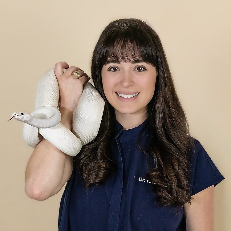 Dr. Rachel Siu