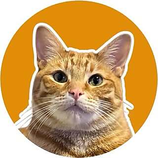 Phillip The Cat
