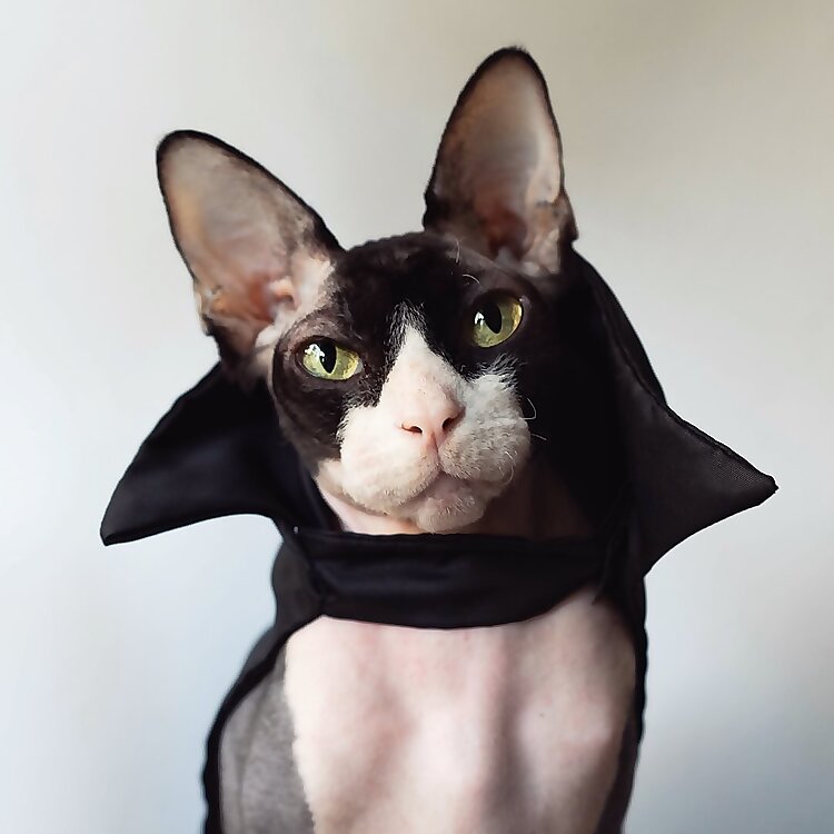 The Dark Lord