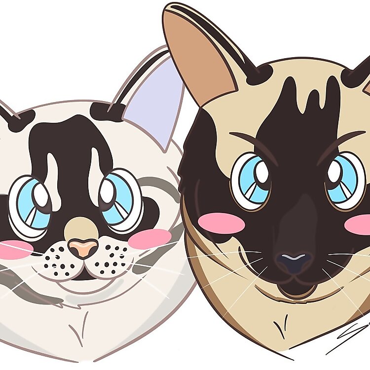 Atlas & Apollo