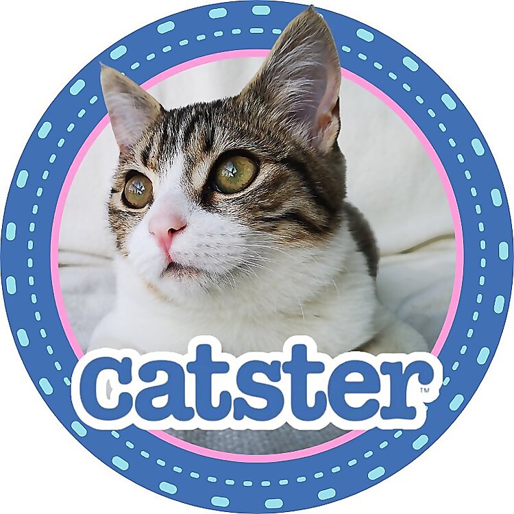 Catster Magazine