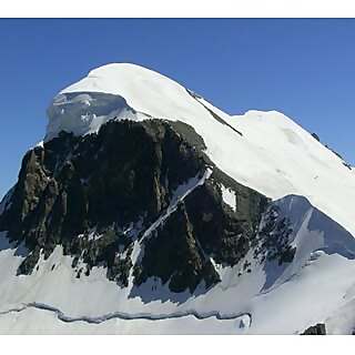 Mountainlifenut
