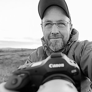 Terje Kolaas