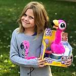 Lilmisstoycollector  