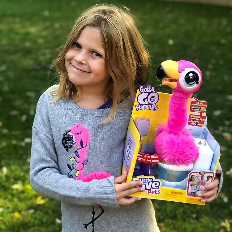 Lilmisstoycollector  