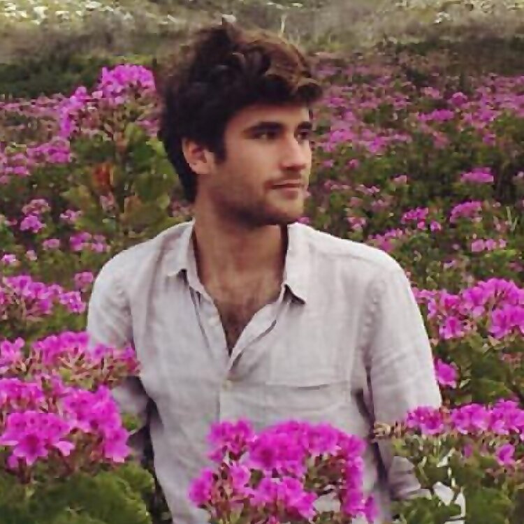 Alexander Hoyle 