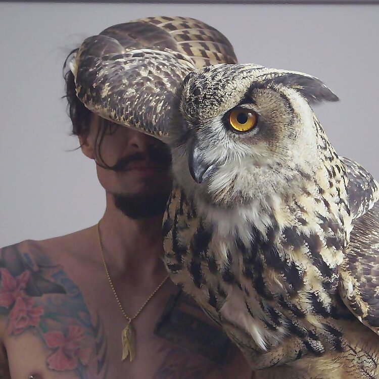 Justin Hawkins