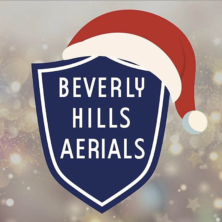 Beverly Hills Aerials