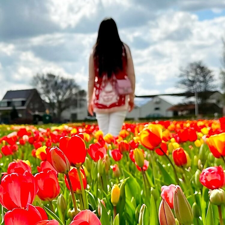 MʏWᴀʀᴅʀᴏʙᴇDɪᴀʀɪᴇs