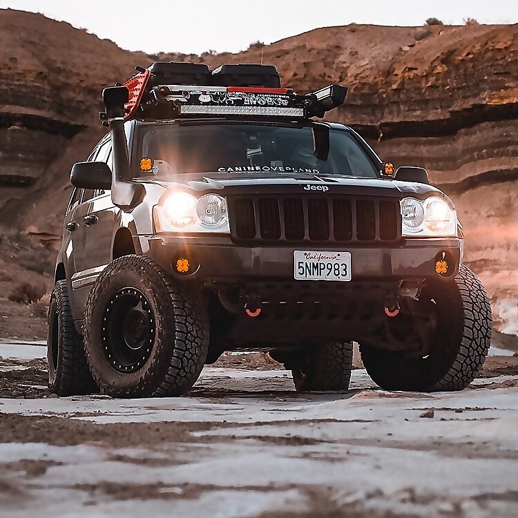 Canine K9 Overland