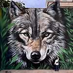 Duek Glez