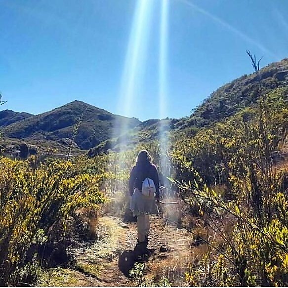 theyellowpassportblog