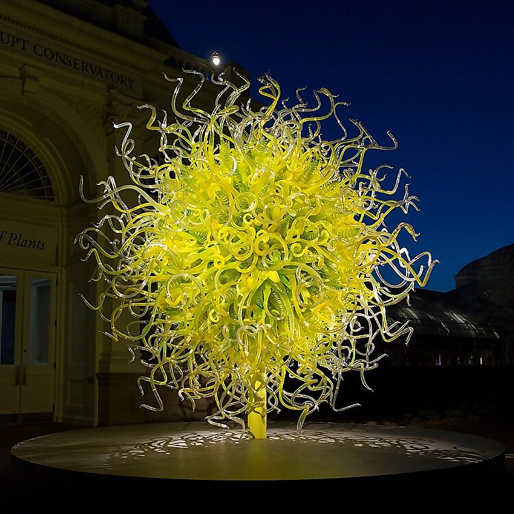 Dale Chihuly