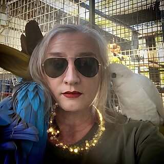 Gabriele Phillis