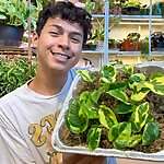 David Morales