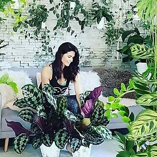 Mee Schmid Plantlady