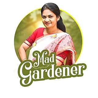 Madhavi Guttikonda