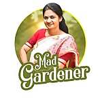 Madhavi Guttikonda
