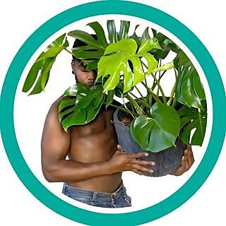 Boys with Plants