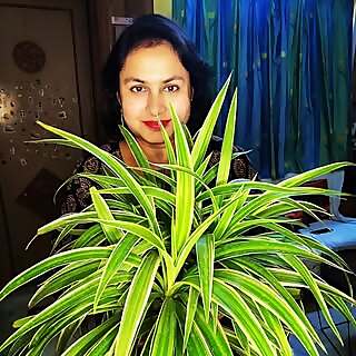 Dr. Titil Datta Samanta