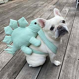 Lola Barksdale
