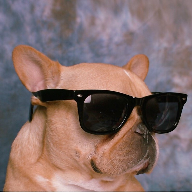 Huey & Leon & Gibson