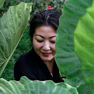 Anjie Cho