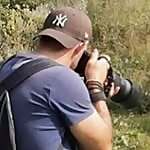 Daz Flicks