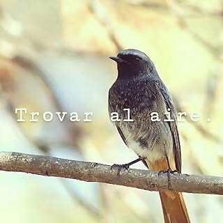 Trovar al aire