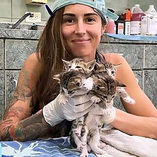 Liz Jones