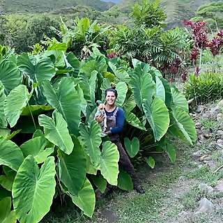 Mikiʻala Makanamaikalani Puaʻa-Freitas