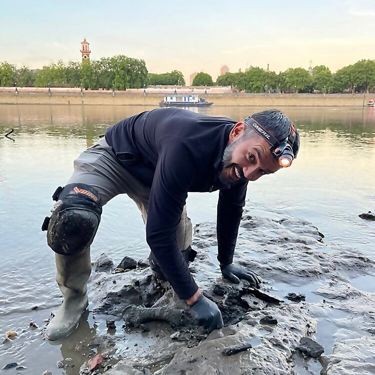 London Madlark
