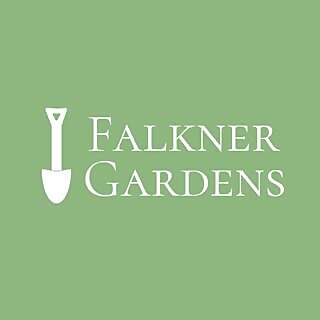 Peter Falkner II