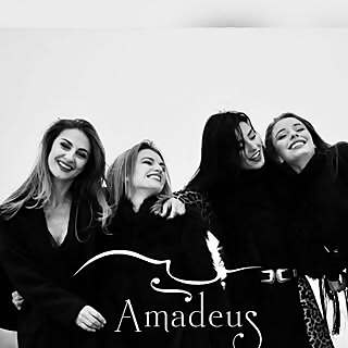 AMADEUS Electric Quartet