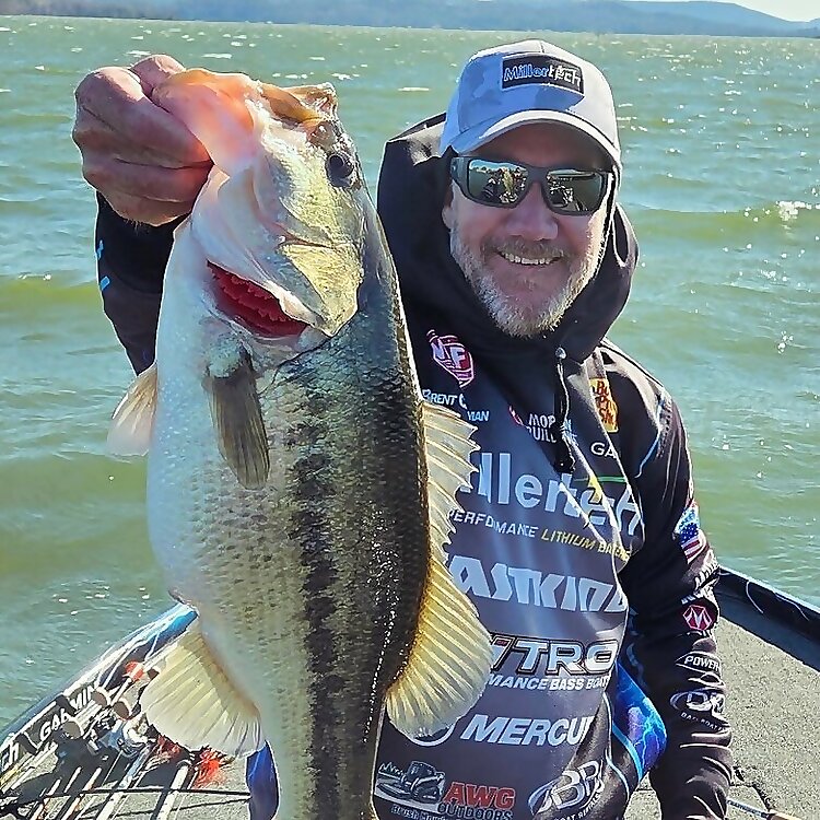 Brent Chapman