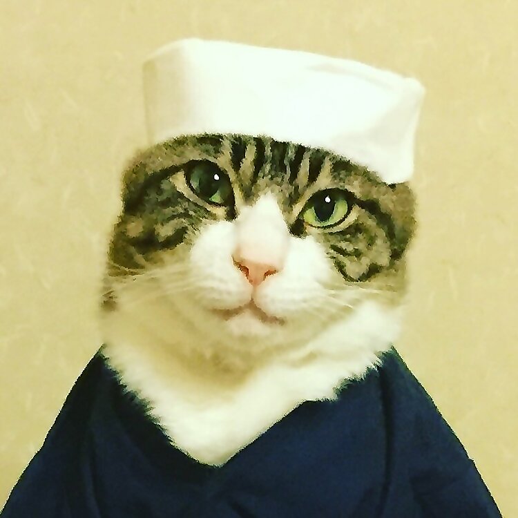 Maro