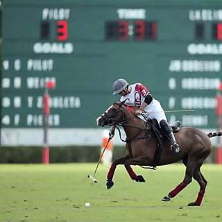 Matias Torres Zavaleta