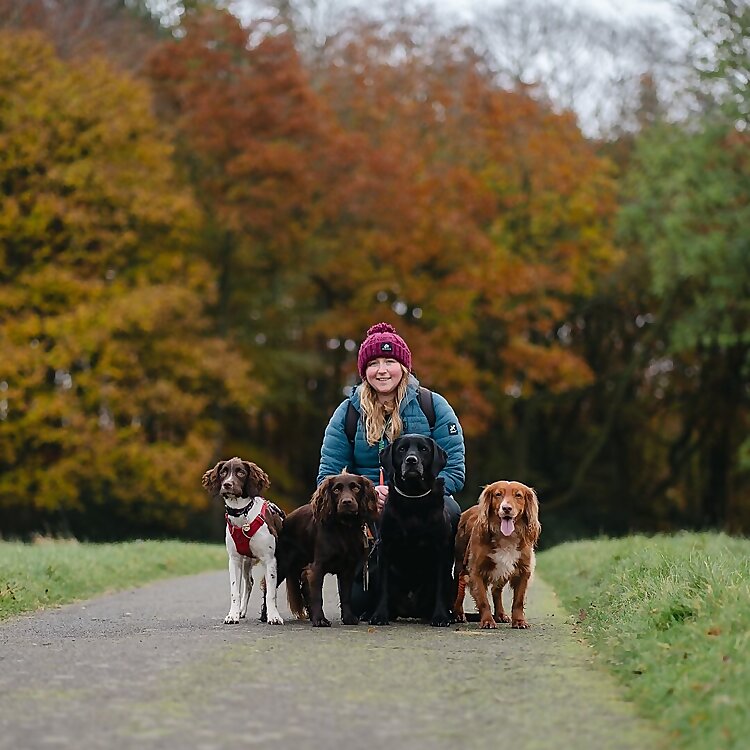  Finn, Ted, Ernie, & Talla 