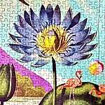 Mindful Puzzling