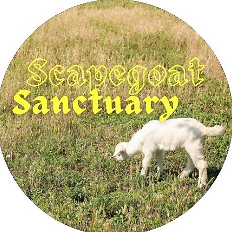 The Scapegoat Sanctuary