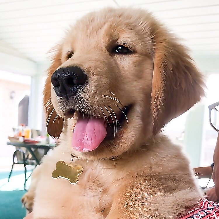 Tucker Budzyn