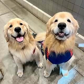 Chase & Chester