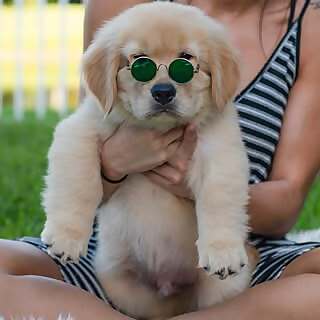 Samson Gallo & Barbara Gallo