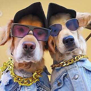 Sammy & Charlie