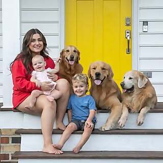 Riley the Golden Retriever