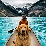 Aspen the Mountain Pup
