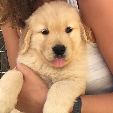 Oliver