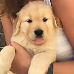 Oliver