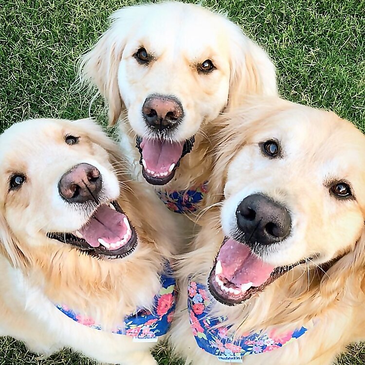 RowanOak Remi Idgie Ruth